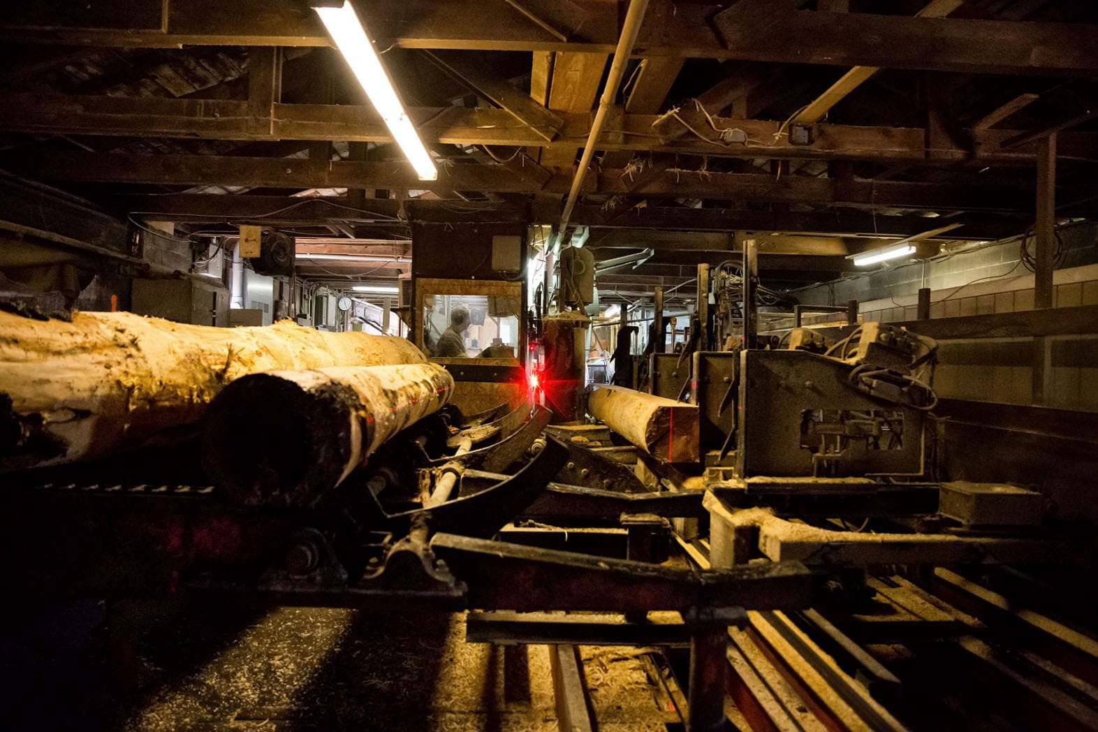 Hammond Lumber Company Sawmill Belgrade Logs waiting to be processed in mill