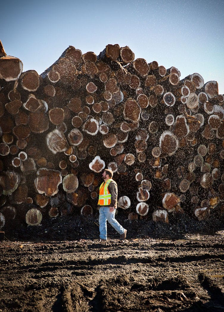 Hammond Lumber Company Sawmill Belgrade Logs waiting to be processed outside