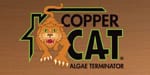 copper-cat Hammond Lumber Company