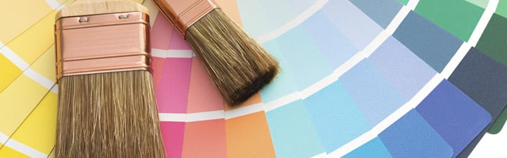 paint brushes and samples Benjamin Moore