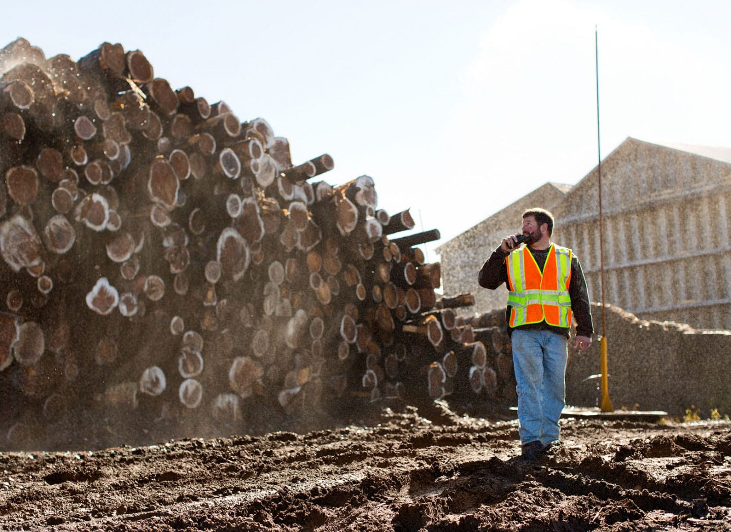 Hemlock Logs  Skeena Sawmills